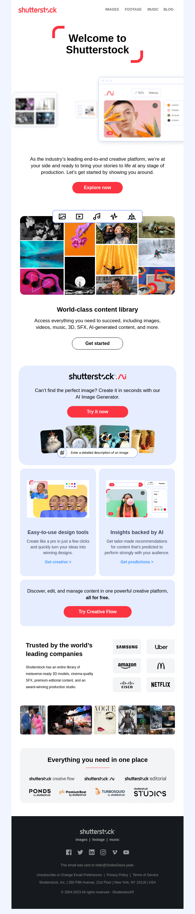 shutterstock infolettre